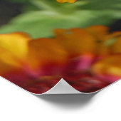 16x24インディアン毛布ワイルドフラワーと蝶 ポスター (角)