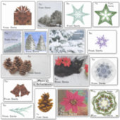 17クリスマスプレゼントラベル品揃え |から開始 シール (正面)