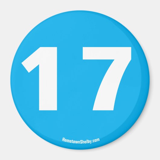 17磁石 マグネット (正面)