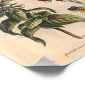 1757植物花アートプリントカーネーション ポスター (角)