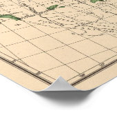 176桃、ネクタリン、アプリコット ポスター (角)