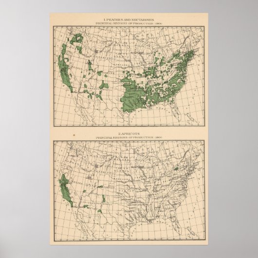 176桃、ネクタリン、アプリコット ポスター (正面)