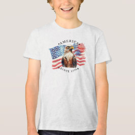 1776年以来のアメリカ 水彩 アメリカ国旗/鷲/花火 トライブレンドＴシャツ