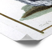 1780年オレンジのウィリアムIII(1650-1702) ポスター (角)