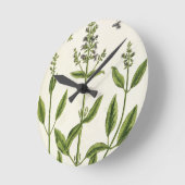 1782年の「不思議なハーブ」のサルビアム ラウンド壁時計 (傾斜)