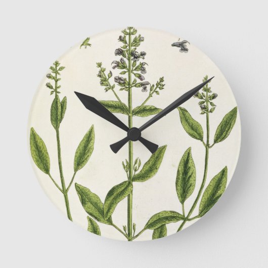 1782年の「不思議なハーブ」のサルビアム ラウンド壁時計 (正面)