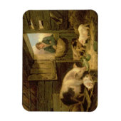 1794年、豚小屋を覗く少年(キャンバス上の油) マグネット (縦)