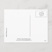 17979セクシーハンククリスマス シーズンポストカード (裏面)