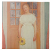 17 タイル (正面)