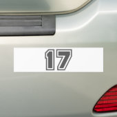 17 バンパーステッカー (車上)