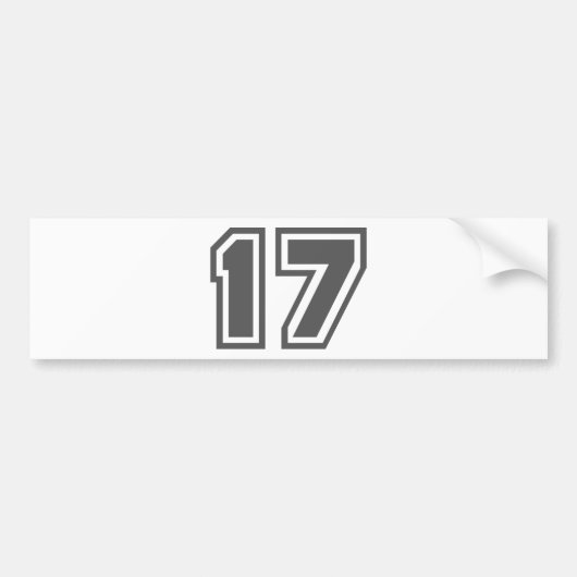 17 バンパーステッカー (正面)