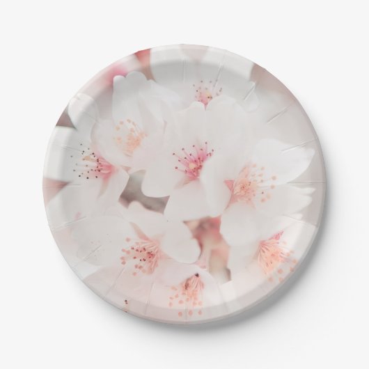 17.8cm ラウンド ペーパープレート (正面)