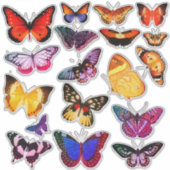 18カラフルヴィンテージ蝶シート2 シール (正面)