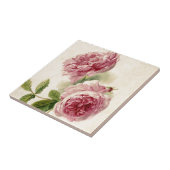 18世紀なピンクのバラの勉強 タイル (側面)