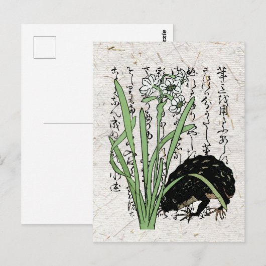 18世紀の日本の植物学のカエル・ヒキガエル ポストカード (正面/裏面)