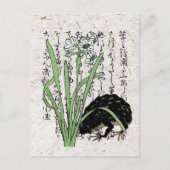 18世紀の日本の植物学のカエル・ヒキガエル ポストカード (正面)