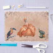 18世紀エフェメ王室のラパリ 薄葉紙 (クラフト)