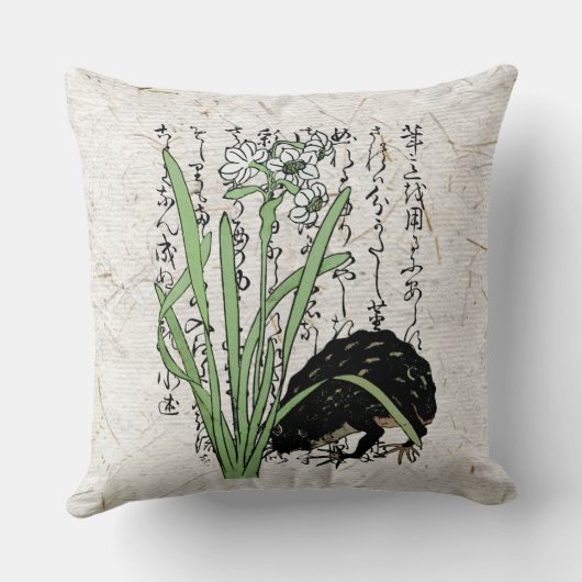 18世紀日本の植物カエル クッション (裏面)