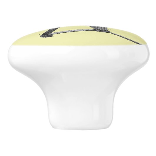 18世紀顕微鏡アンティーク科学楽器 セラミックノブ (側面)