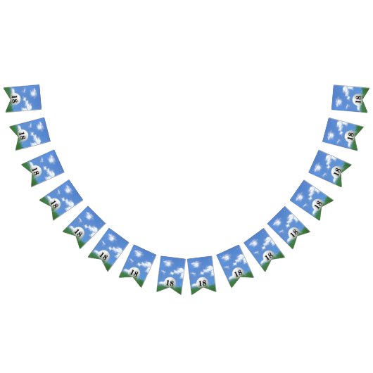 18歳の誕生日のバンティングフラッグのゴルフボール バンティングフラッグ (全)