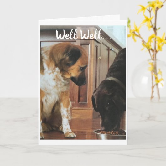 *18番目の誕生日*犬のユーモア! カード (黄色い花)