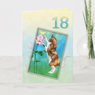 18誕生日猫よくはしゃぐ付き カード