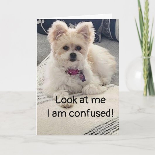 **18誕生日**大変な混乱!カード カード (正面)