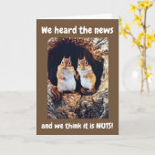 ***18誕生日****我々考えはナッツだ!!!カード カード (黄色い花)