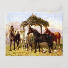 1800年代の川の下の馬 ポストカード