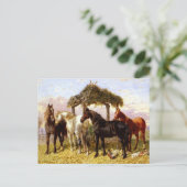 1800年代の川の下の馬 ポストカード (スタンド正面)