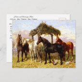 1800年代の川の下の馬 ポストカード (正面/裏面)