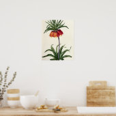 1802年に発行された「ユレアチェ」のFritillaria Imperalis ポスター (キッチン)