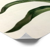 1802年に発行された「ユレアチェ」のFritillaria Imperalis ポスター (角)