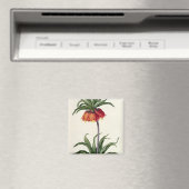 1802年に発行された「ユレアチェ」のFritillaria Imperalis マグネット (インサイチュ (食洗機))