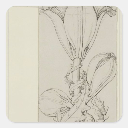 1809年リリーの天才 スクエアシール (正面)