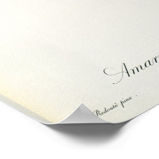 1809年LesよりAmaryllis Curvifolia ポスター (角)