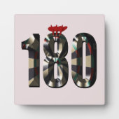 "180 in 3D：究極のダーツ寸法" フォトプラーク (正面)