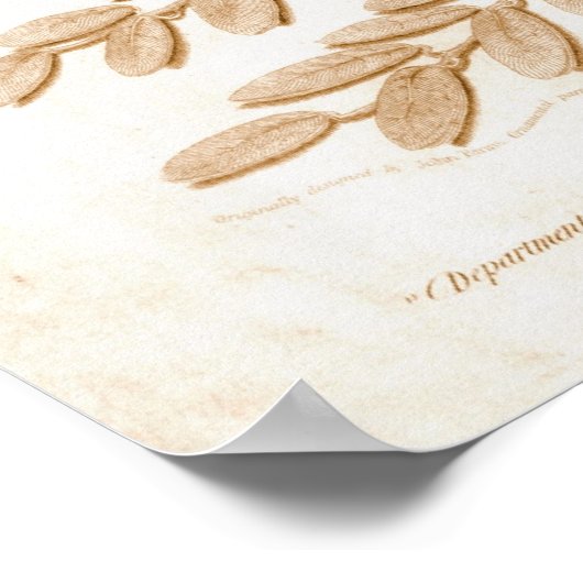 1818年独立宣言 ポスター (角)