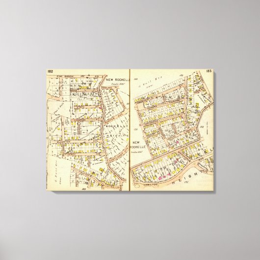 182183ニューロシェル キャンバスプリント (正面)