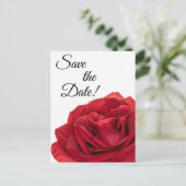 1822 – 赤のバラ ポストカード (スタンド正面)