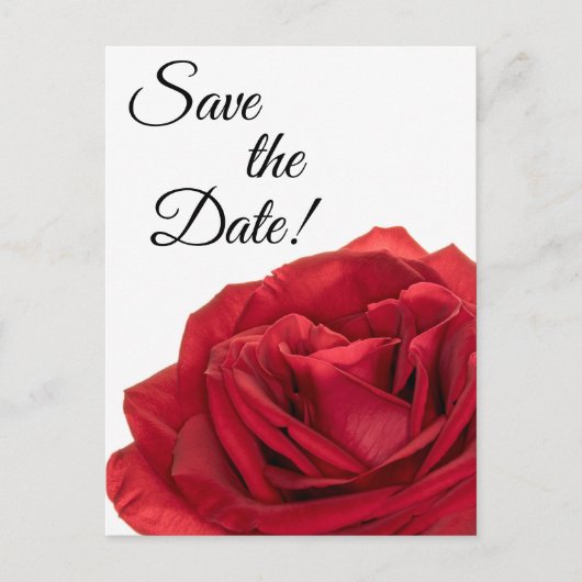 1822 – 赤のバラ ポストカード (正面)