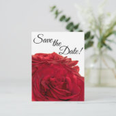 1824 – 赤のバラ ポストカード (スタンド正面)