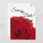 1824 – 赤のバラ ポストカード (正面/裏面)