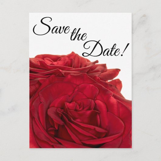 1824 – 赤のバラ ポストカード (正面)