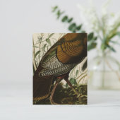 1825ヴィンテージワイルドトルコ ポストカード (スタンド正面)