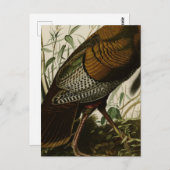 1825ヴィンテージワイルドトルコ ポストカード (正面/裏面)