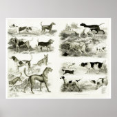 1830犬品種 – アーカイブプリント ポスター (正面)