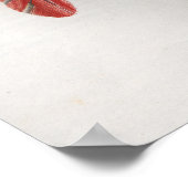 1833ヴィンテージお尻筋肉解剖図ポスター ポスター (角)