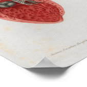 1833ヴィンテージハート内部解剖図ポスター ポスター (角)