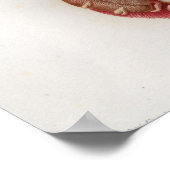 1833ヴィンテージ内臓器解剖図ポスター ポスター (角)